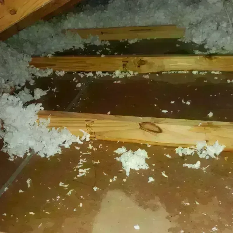 Attic Water Damage in Allendale, CA