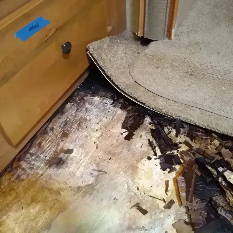 Wood Floor Water Damage in Allendale, CA